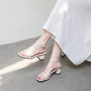 礼券甄选（8只）