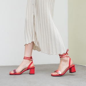 礼券甄选（8只）